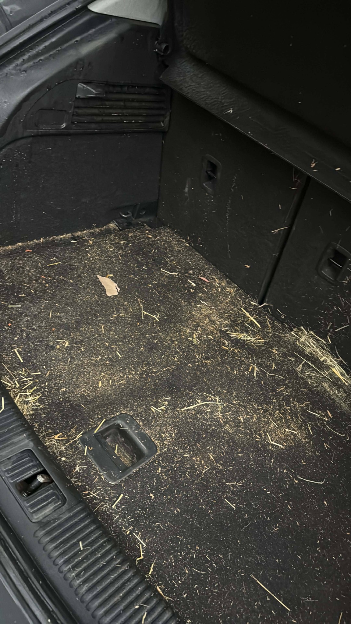 Boot before — full of debris